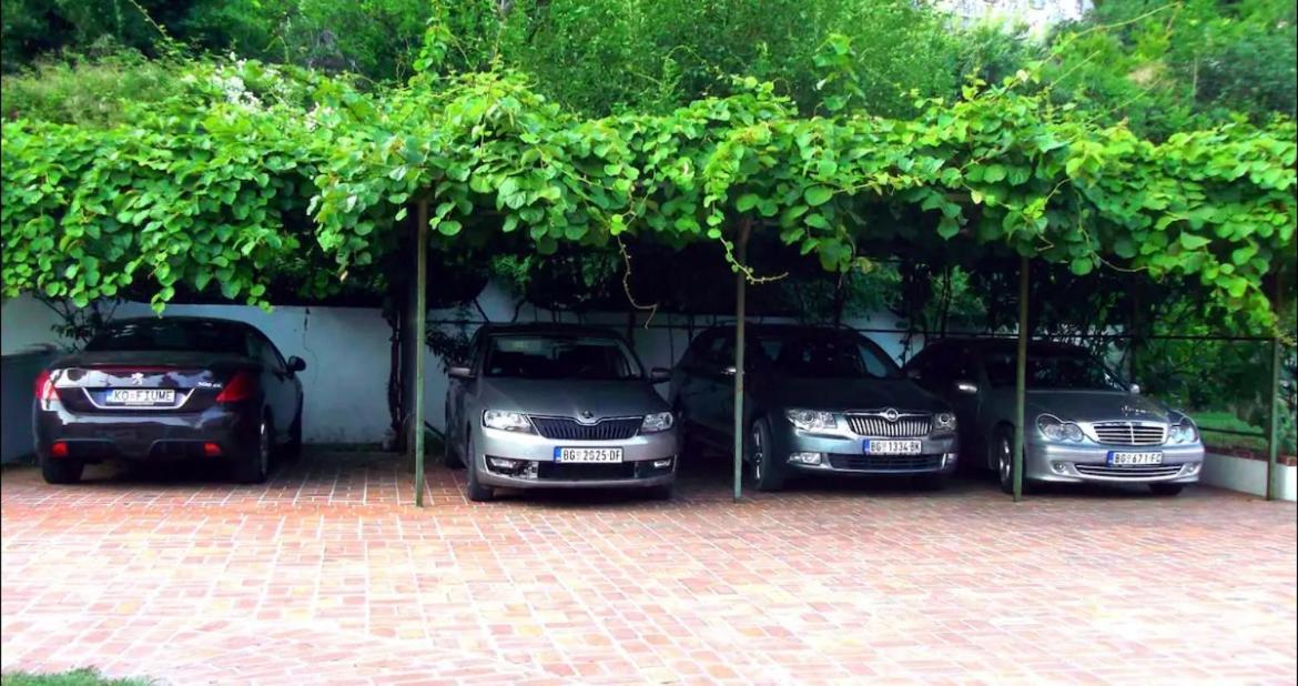 Carine Garden Lägenhet Risan Exteriör bild