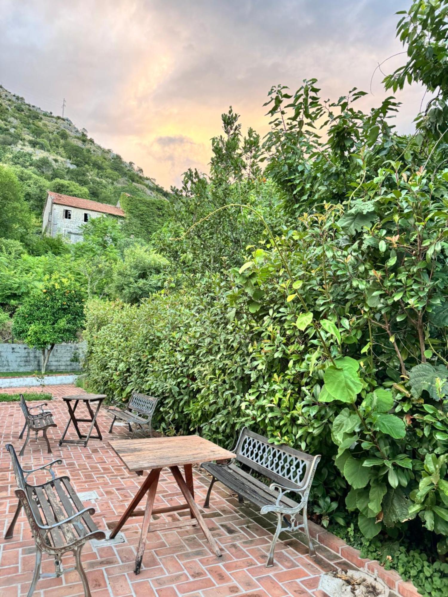 Carine Garden Lägenhet Risan Exteriör bild